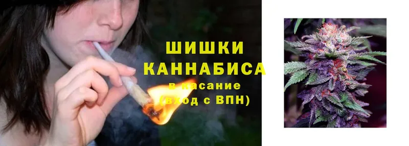 Шишки марихуана OG Kush  это формула  Петропавловск-Камчатский 